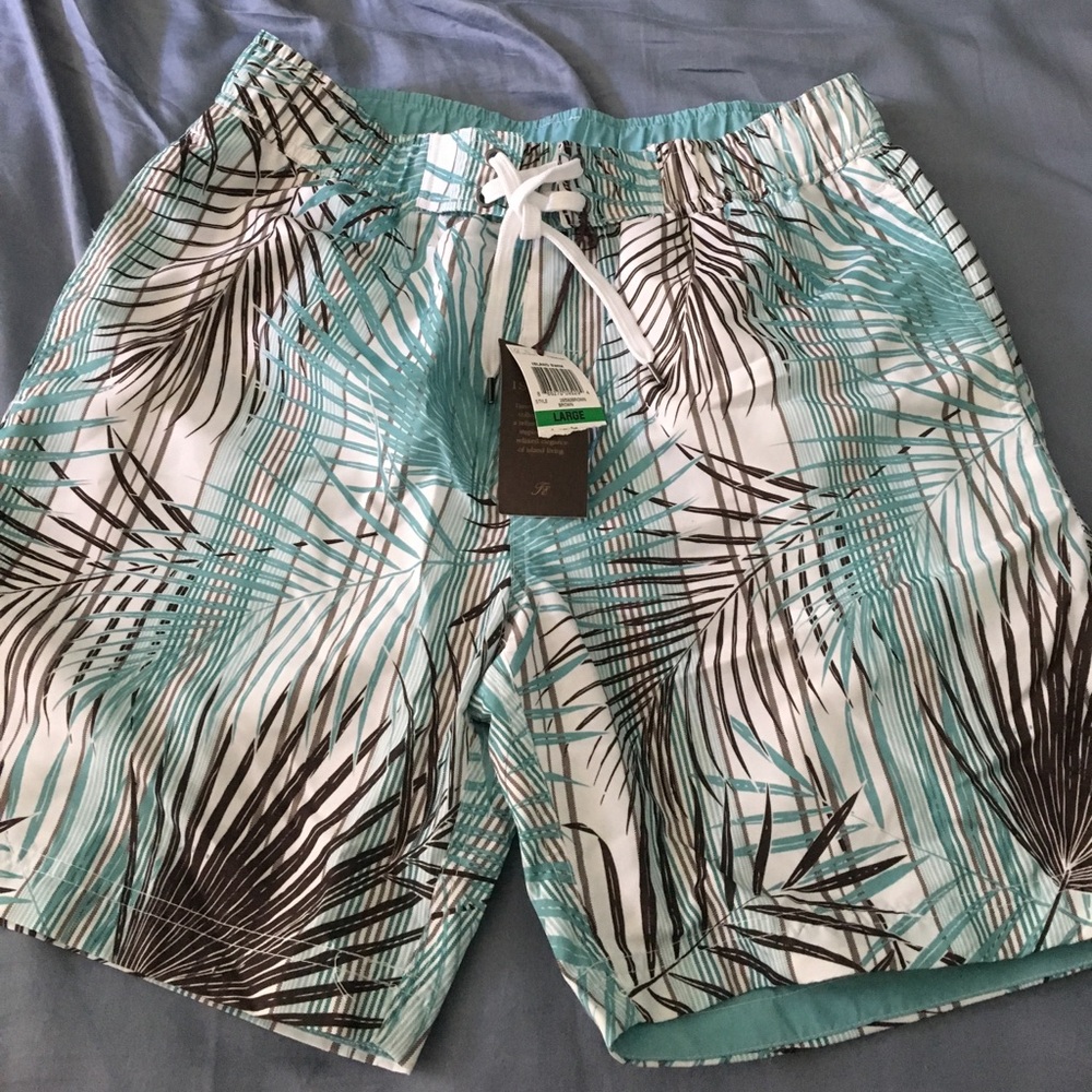 Tasso Elba Teal and Brown Swim Trunks